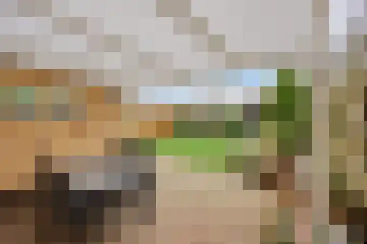 Onderkampstraat 10 Susteren thumbnail 30