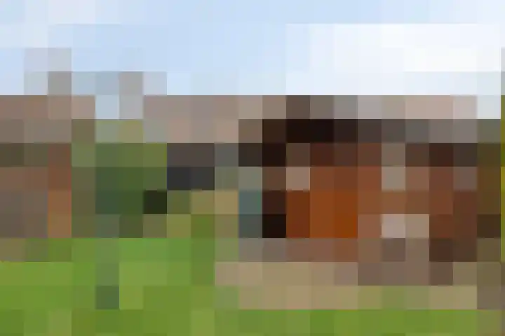 Onderkampstraat 10 Susteren thumbnail 32