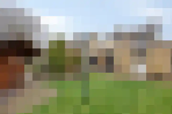 Onderkampstraat 10 Susteren thumbnail 33