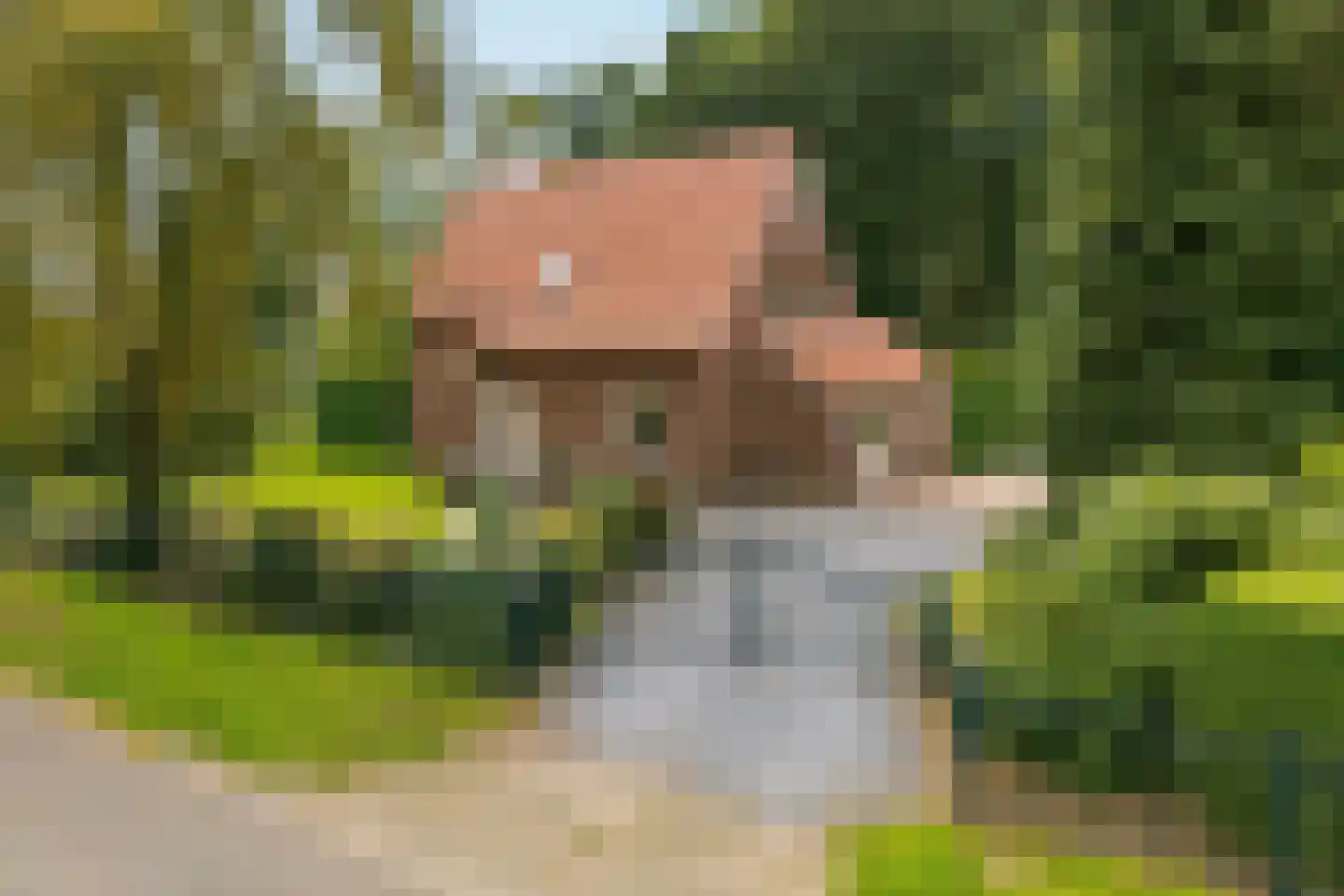 Onderkant 19 Milsbeek