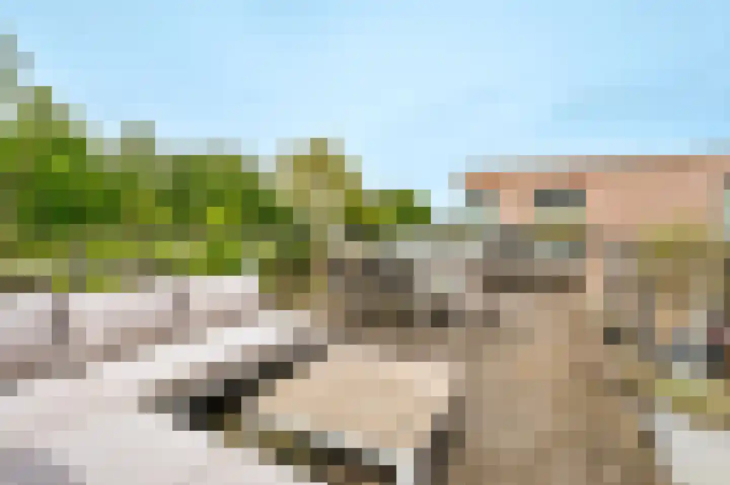Onderlangs 11 Lelystad thumbnail 10