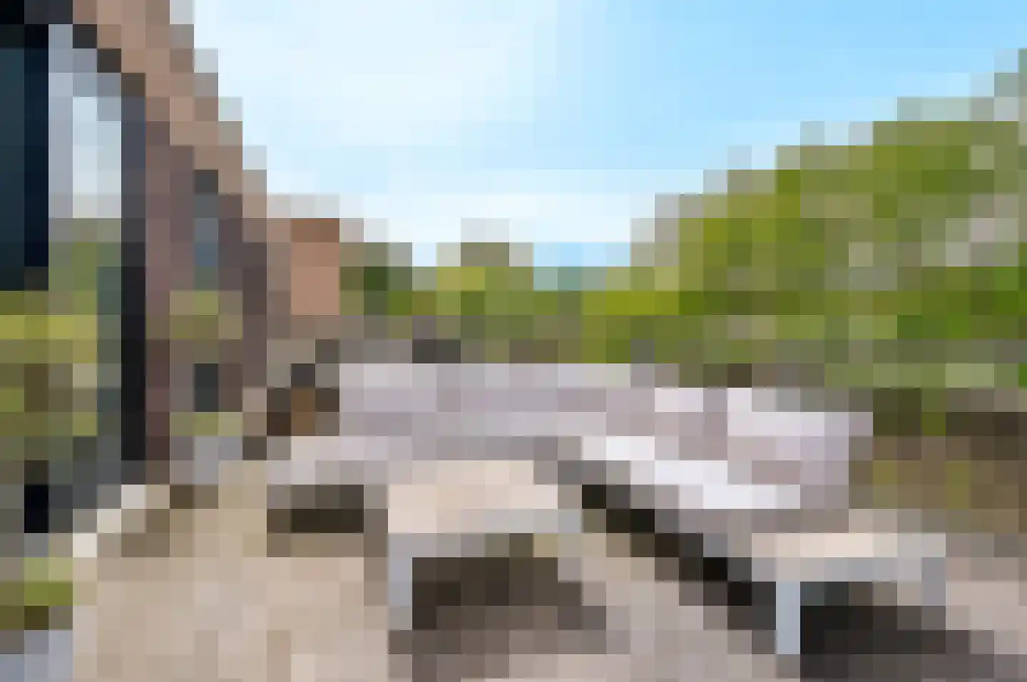 Onderlangs 11 Lelystad thumbnail 9