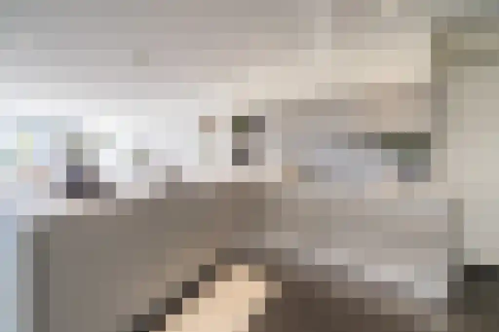 Onderlangs 20 Arnhem thumbnail 4