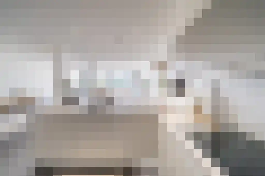Onderlangs 20 Arnhem thumbnail 5