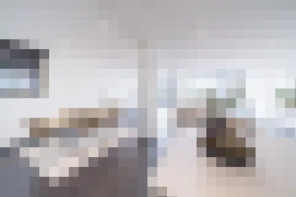 Onderlangs 20 Arnhem thumbnail 6