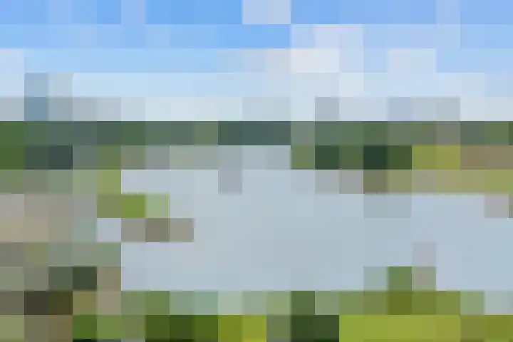 Onderlangs 24 Arnhem