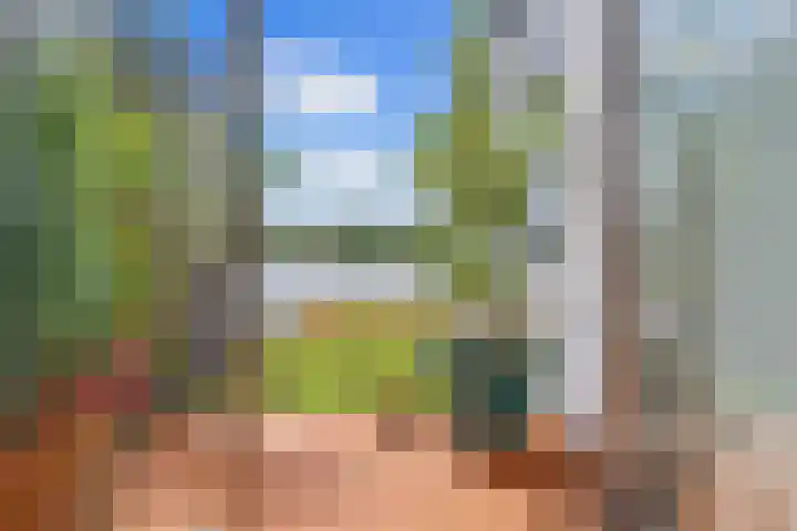 Onderlangs 24 Arnhem thumbnail 19