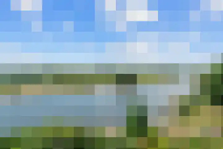 Onderlangs 24 Arnhem foto 2