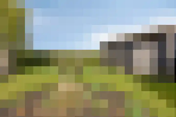 Onderlangs 24 Arnhem thumbnail 20