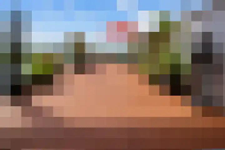 Onderlangs 24 Arnhem foto 3