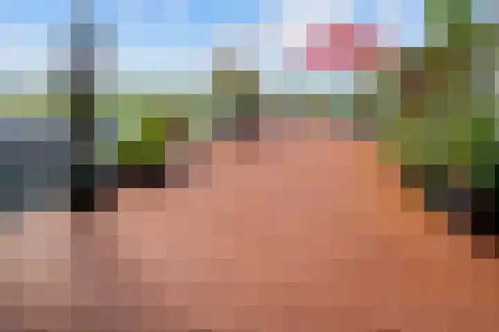 Onderlangs 24 Arnhem thumbnail 37