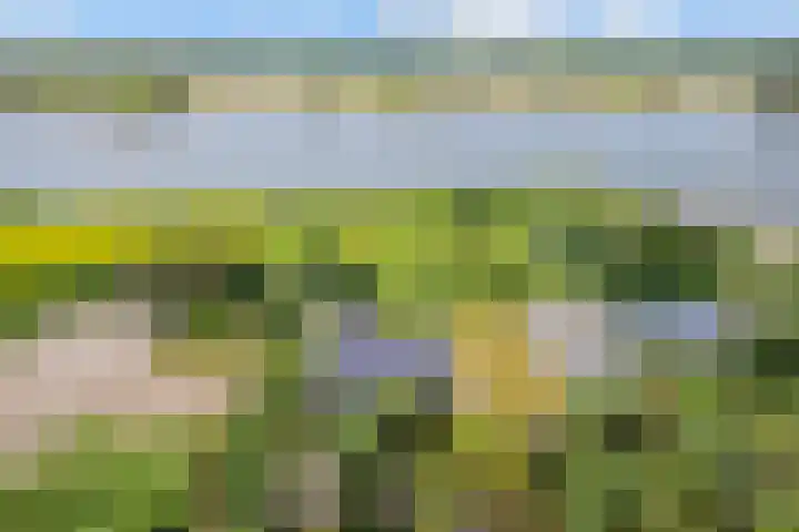 Onderlangs 24 Arnhem thumbnail 42