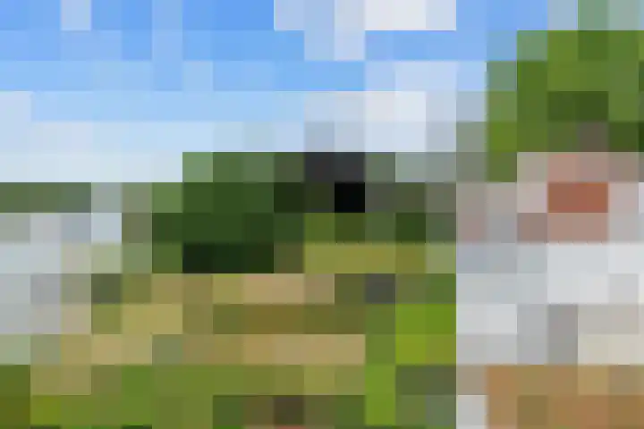 Onderlangs 24 Arnhem thumbnail 46