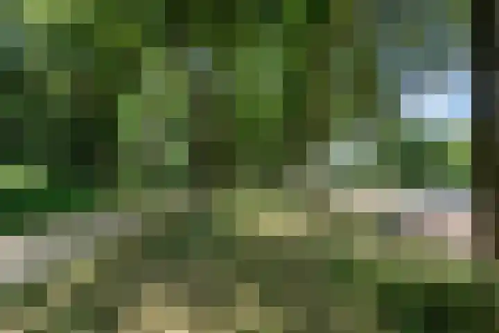 Onderlangs 24 Arnhem thumbnail 51