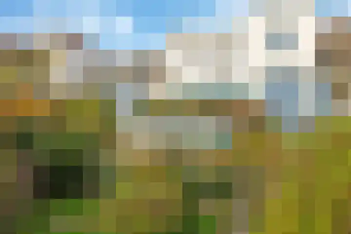 Onderlangs 25 Arnhem thumbnail 67