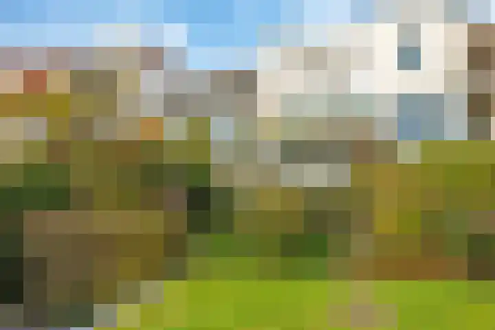 Onderlangs 25 Arnhem thumbnail 69