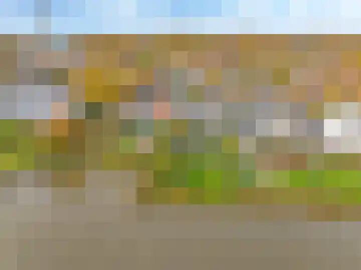 Onderlangs 25 Arnhem thumbnail 7