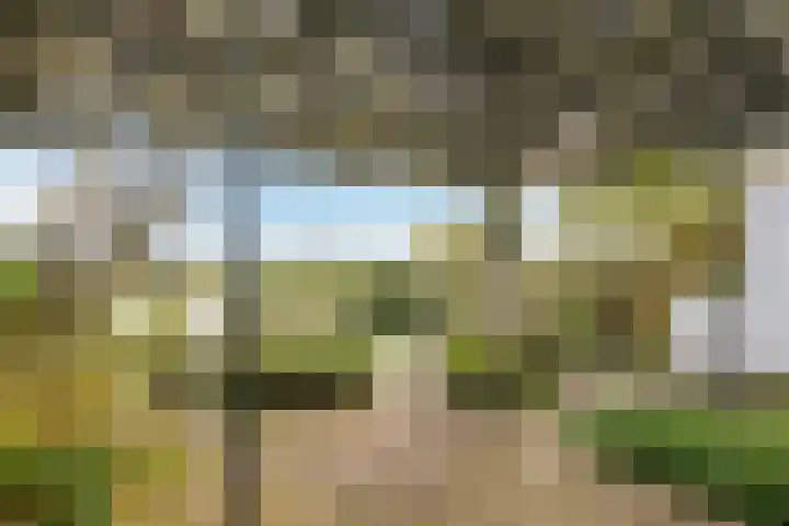Onderlangs 25 Arnhem thumbnail 73