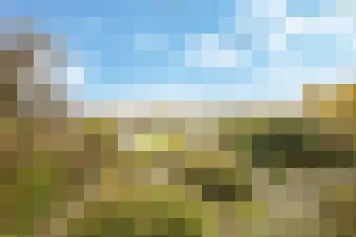 Onderlangs 25 Arnhem thumbnail 74
