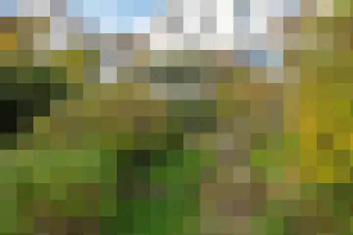 Onderlangs 25 Arnhem thumbnail 75
