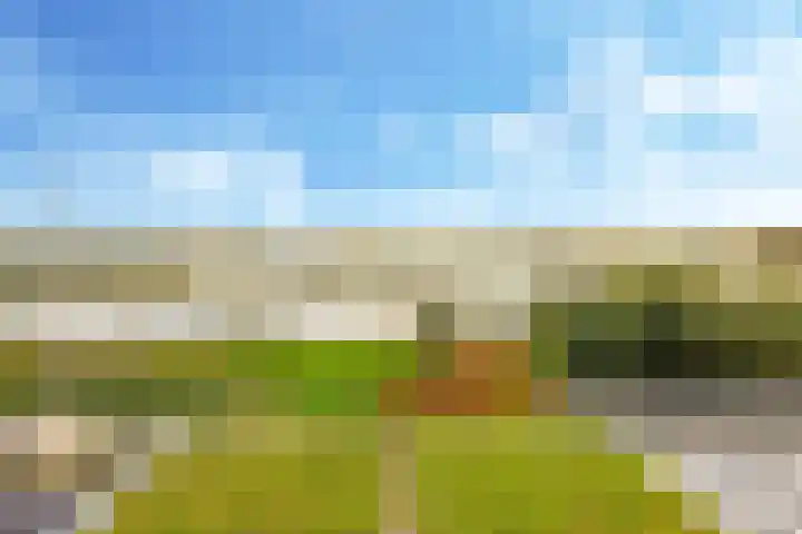Onderlangs 25 Arnhem thumbnail 76