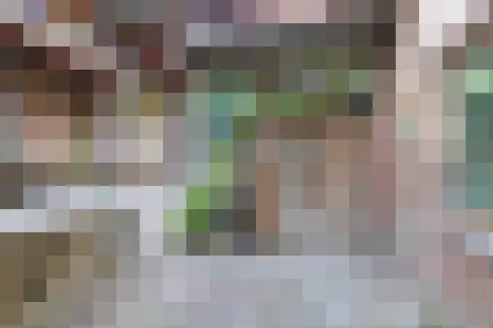 Onderlangs 25 Arnhem thumbnail 81