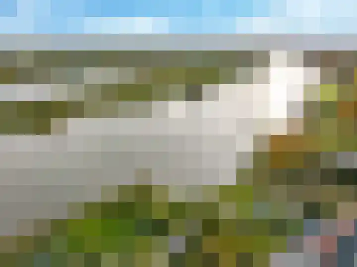 Onderlangs 25 Arnhem thumbnail 84