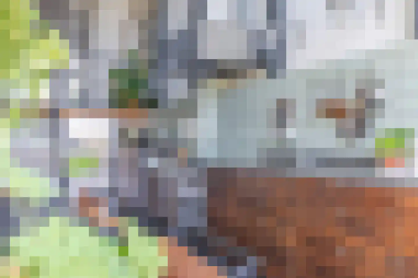 Onderlangs 27 Arnhem thumbnail 17