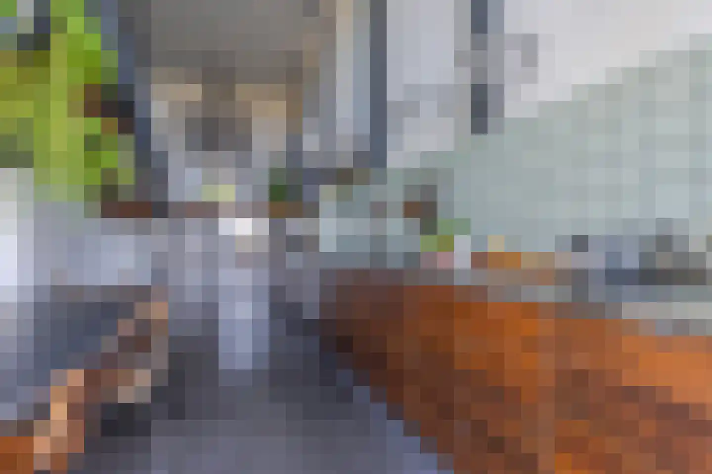 Onderlangs 27 Arnhem thumbnail 18