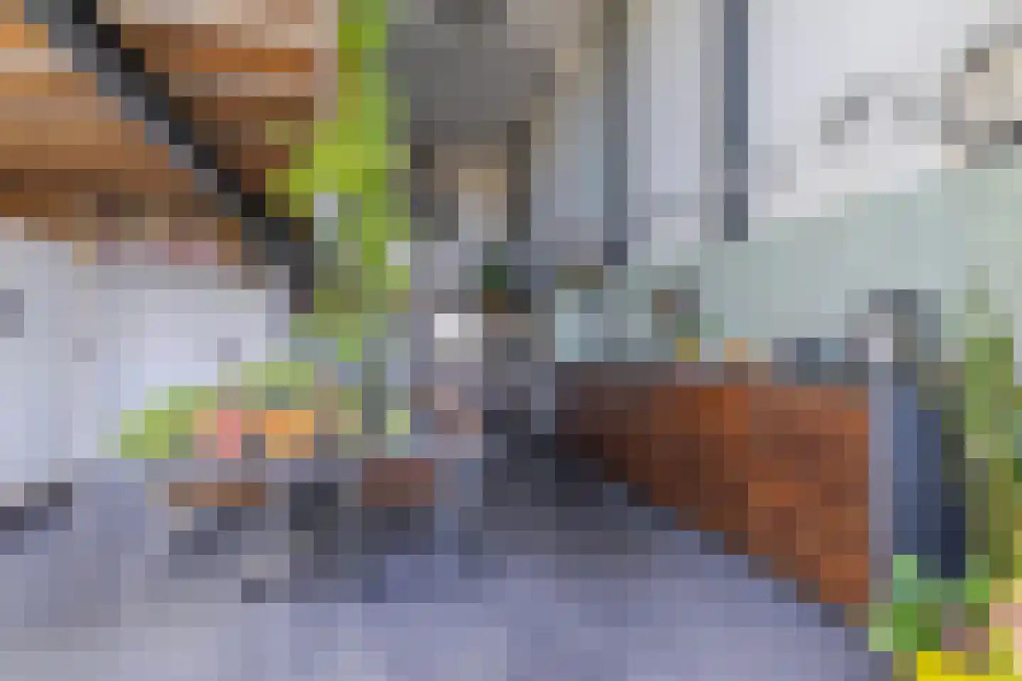 Onderlangs 27 Arnhem thumbnail 19