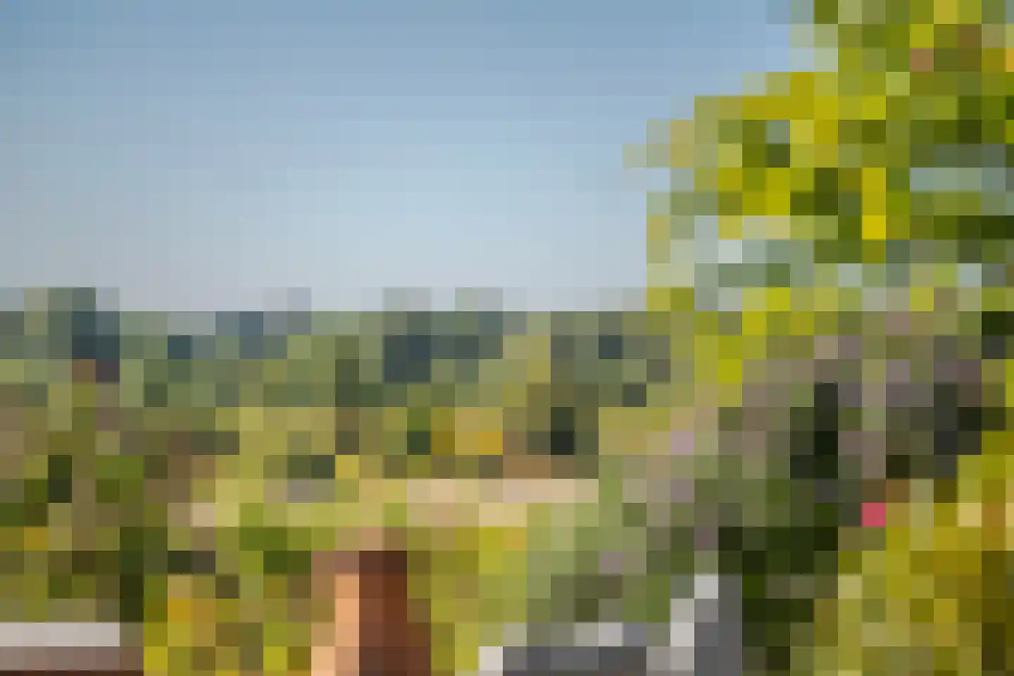 Onderlangs 27 Arnhem thumbnail 39