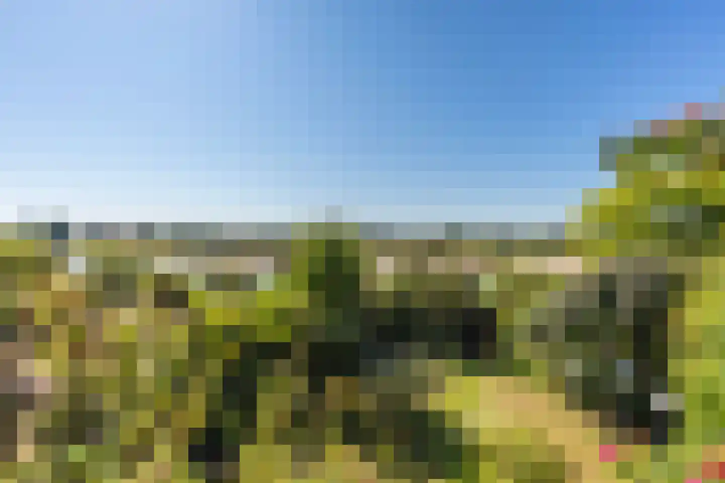 Onderlangs 27 Arnhem thumbnail 40