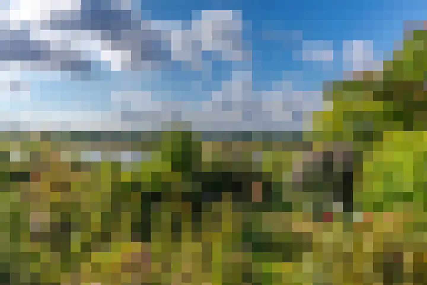 Onderlangs 27 Arnhem thumbnail 44
