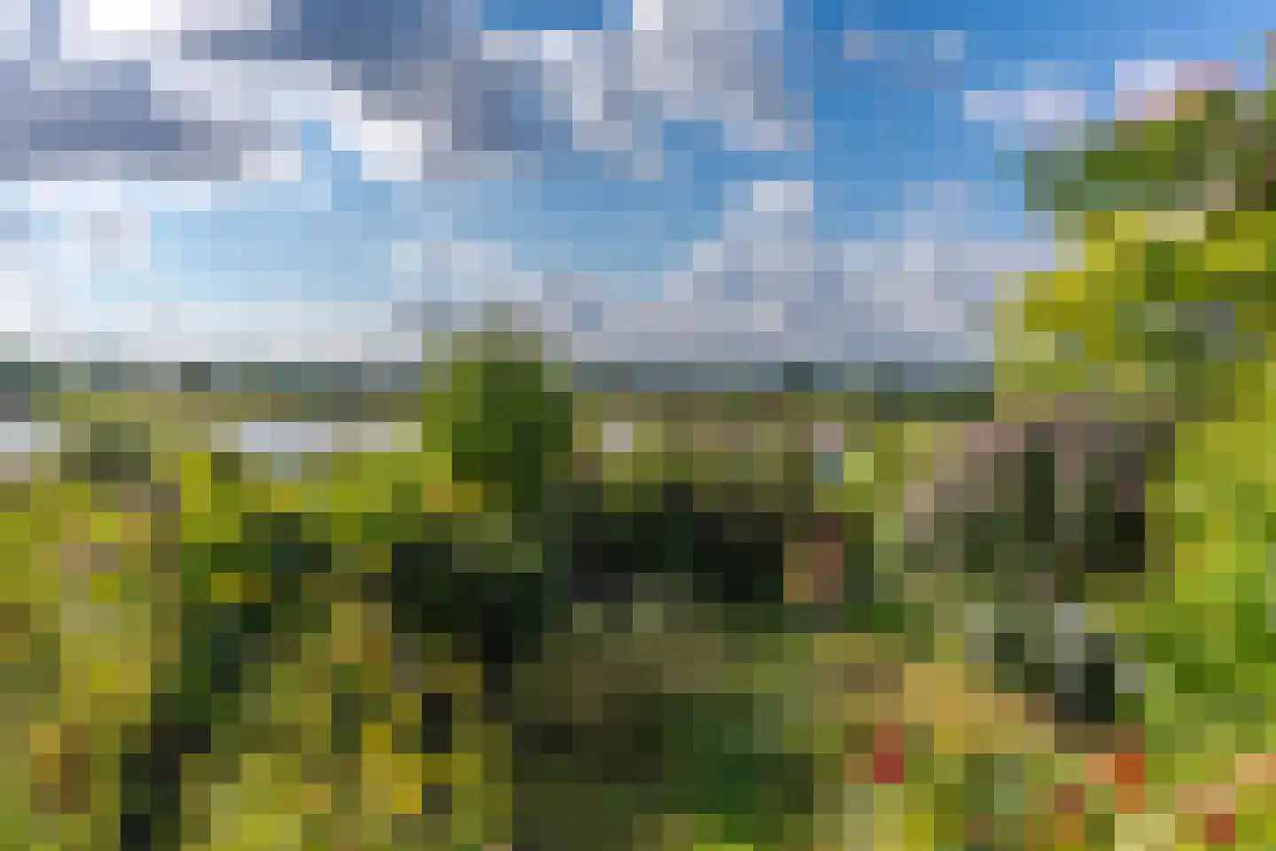 Onderlangs 27 Arnhem thumbnail 45