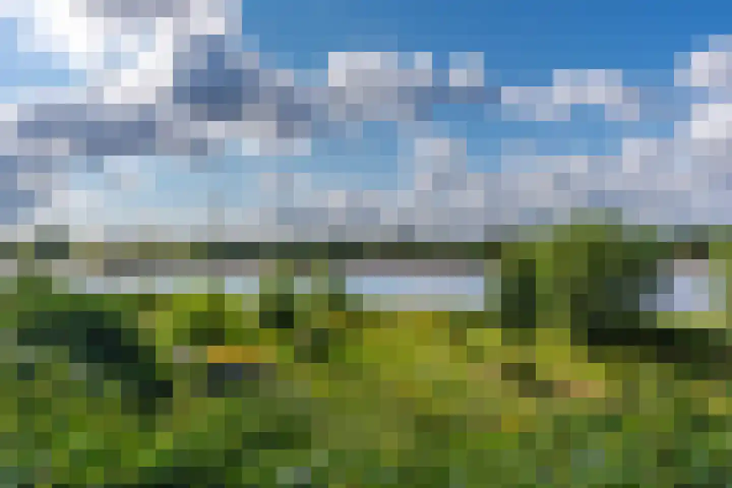 Onderlangs 27 Arnhem thumbnail 78
