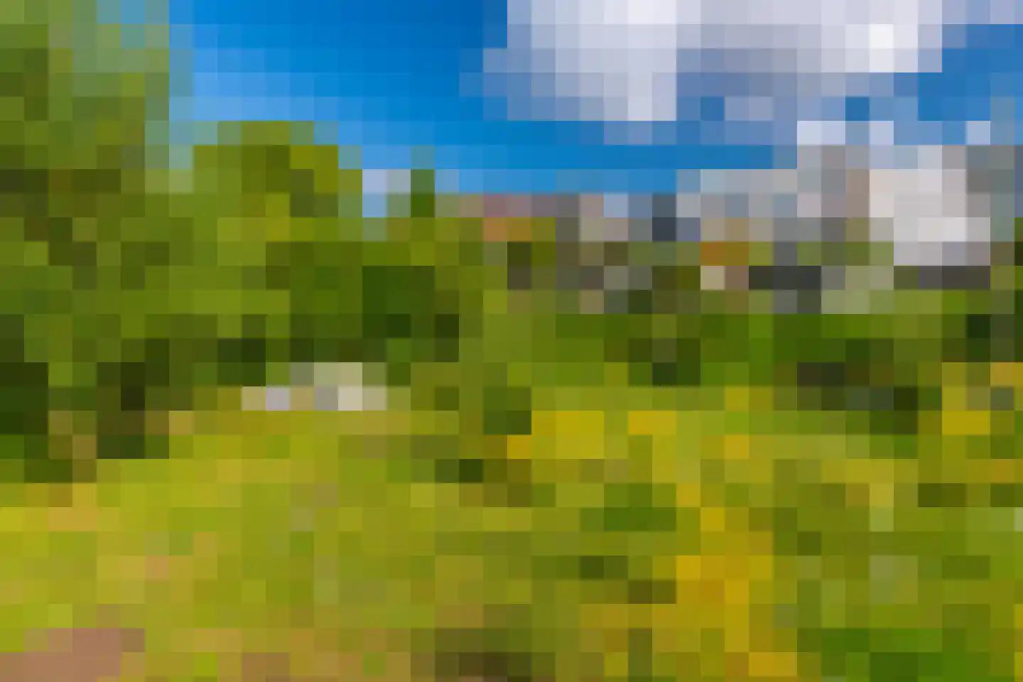 Onderlangs 27 Arnhem thumbnail 79
