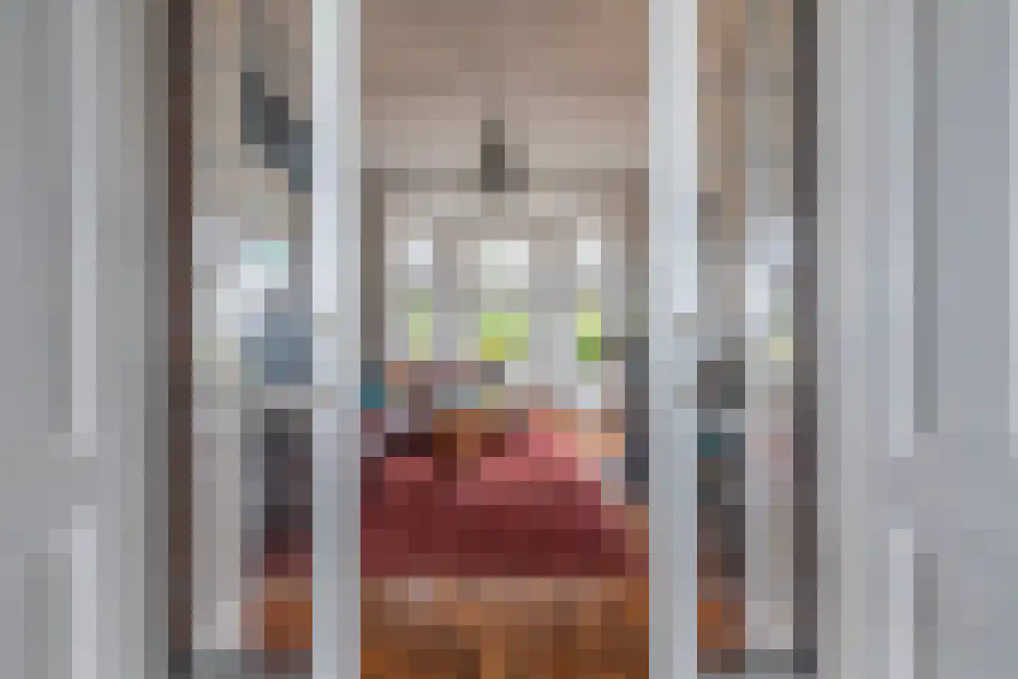 Onderlangs 27 Arnhem thumbnail 8