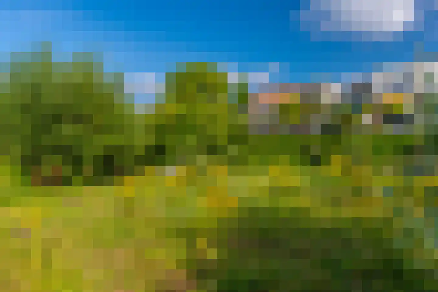 Onderlangs 27 Arnhem thumbnail 80