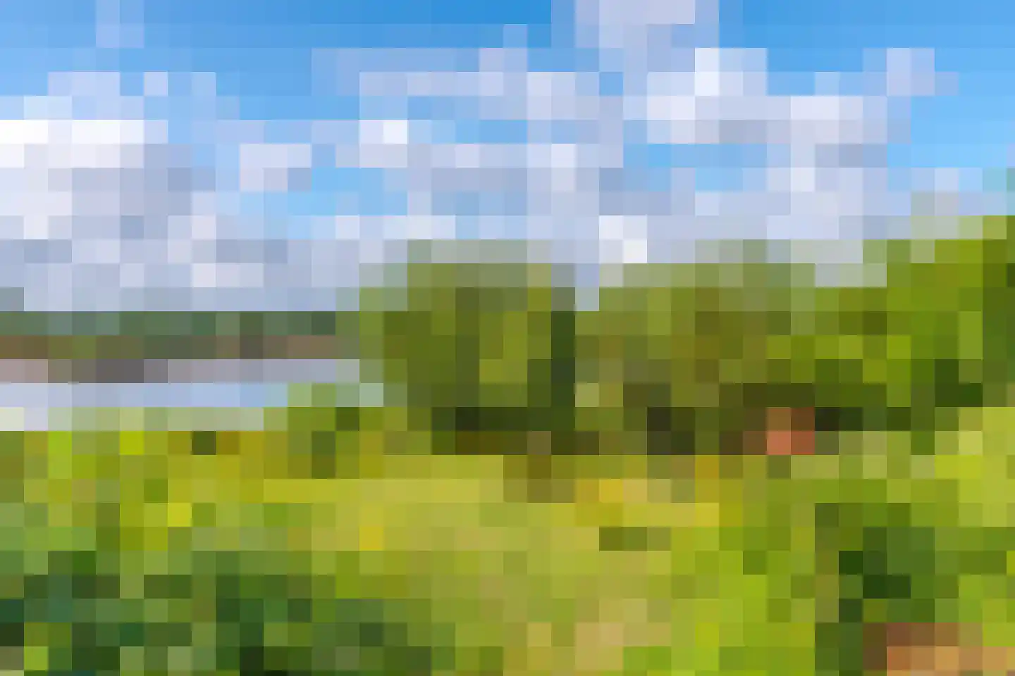 Onderlangs 27 Arnhem thumbnail 82