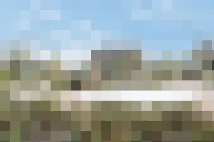 Onderlangs 30 c Barendrecht thumbnail 5