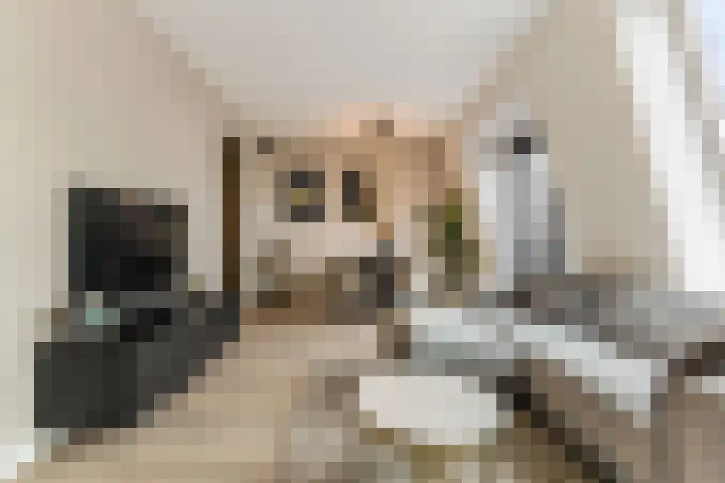Onderlangs 30 h Barendrecht thumbnail 8