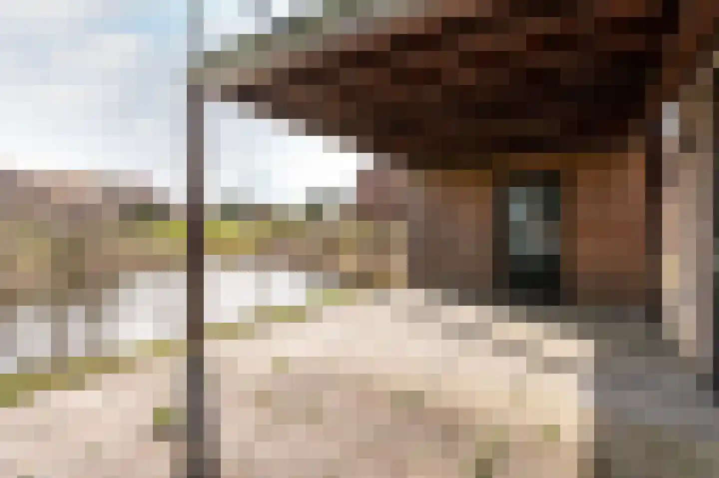 Onderlangs 30 Lelystad thumbnail 37