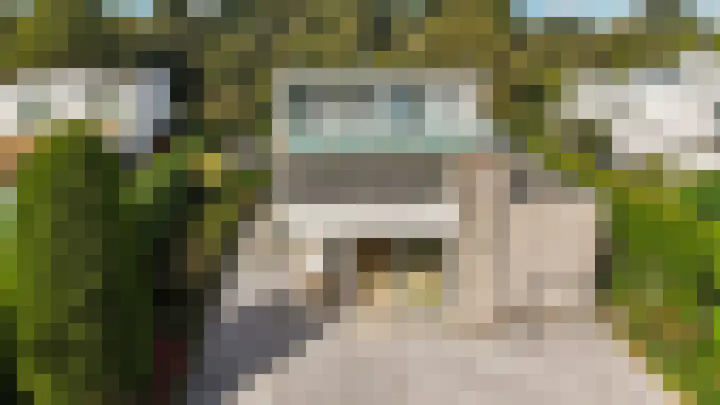 Onderlangs 36 Rotterdam thumbnail 16