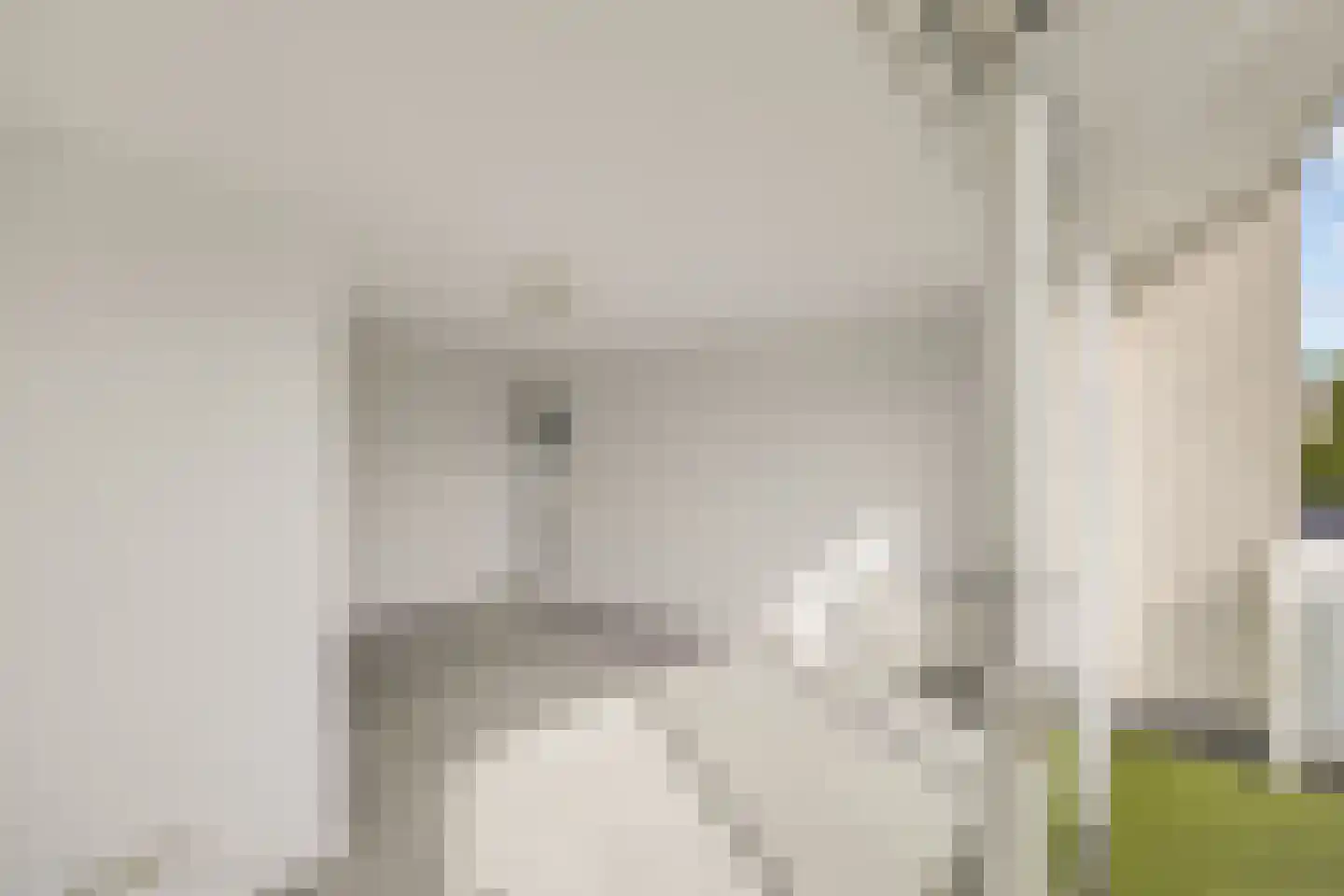 Onderlangs 36 Rotterdam thumbnail 36