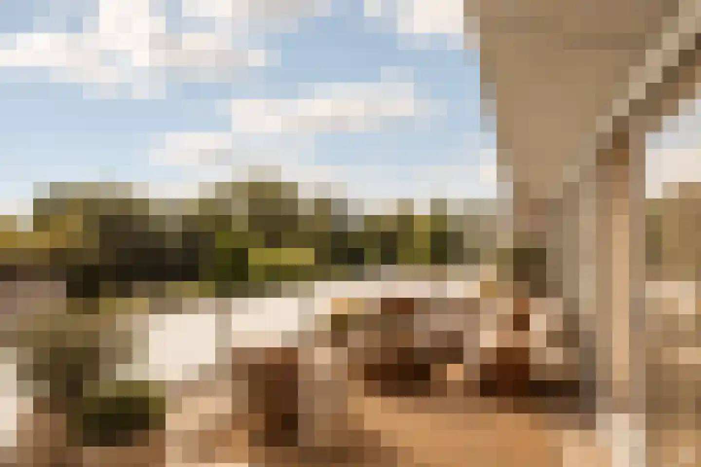 Onderlangs 36 Rotterdam thumbnail 38