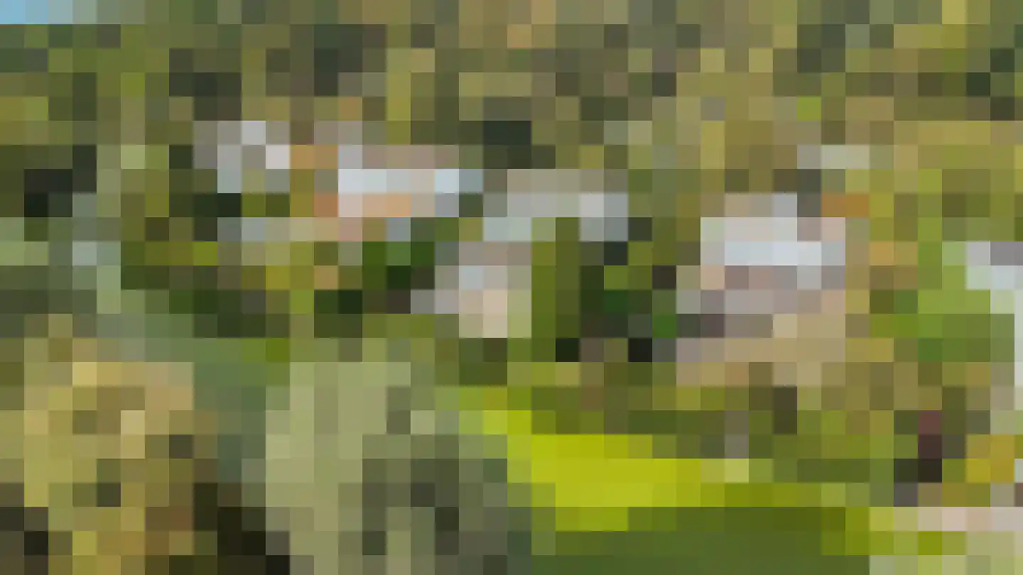Onderlangs 36 Rotterdam thumbnail 49