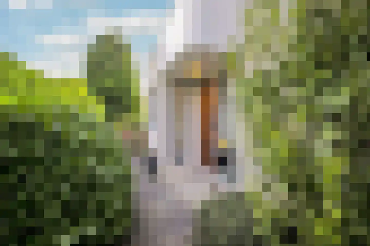 Onderlangs 36 Rotterdam thumbnail 8