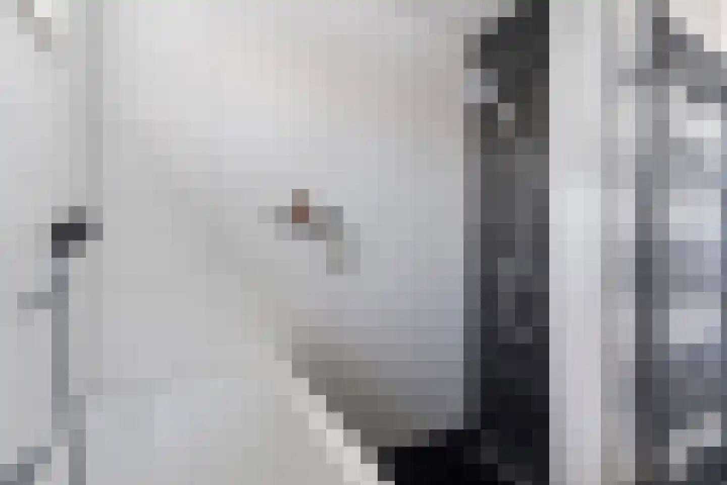 Onderlangs 4 Herkingen thumbnail 21