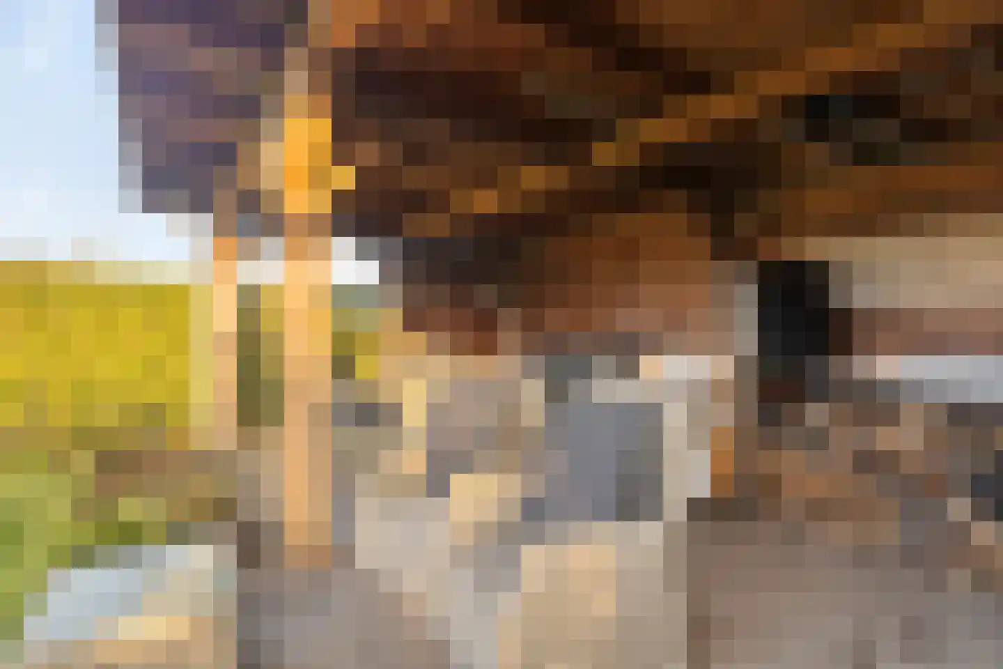 Onderlangs 4 Herkingen thumbnail 37