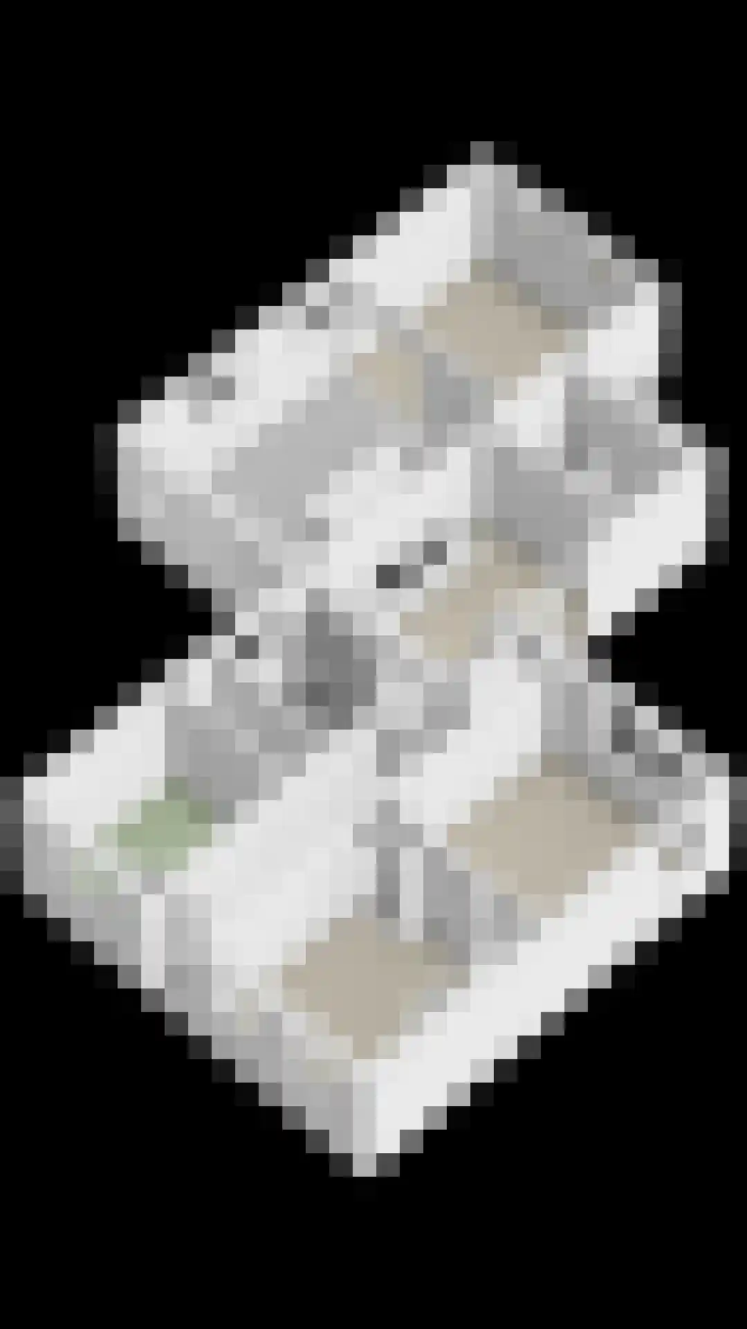Onderlangs 4 Herkingen thumbnail 51